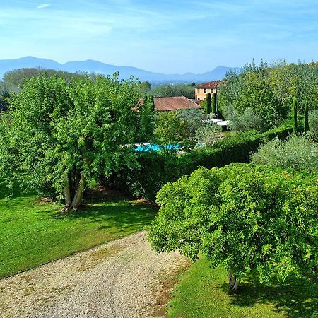Villa Fiamma By Posarellivillas Piaggiori Екстериор снимка